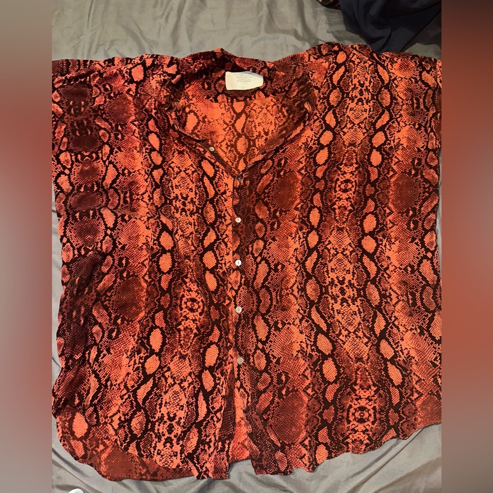 Acacia - Mombasa 🐍